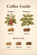 Arabica vs Rebusta